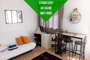 Le Zen -studio tout équipé- WIFI Fibre- centre ville avec parking
